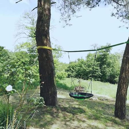 Manoir Du Tertre Au Coeur De La Foret De Broceliande Ξενοδοχείο Paimpont Εξωτερικό φωτογραφία