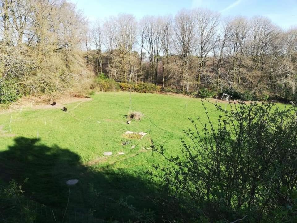 Manoir Du Tertre Au Coeur De La Foret De Broceliande Ξενοδοχείο Paimpont Εξωτερικό φωτογραφία