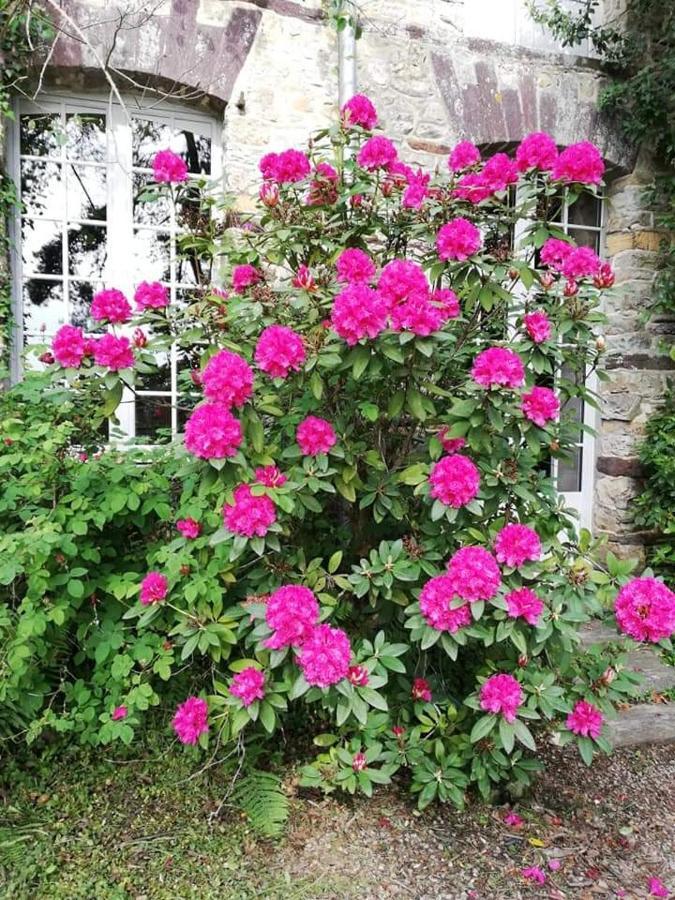 Manoir Du Tertre Au Coeur De La Foret De Broceliande Ξενοδοχείο Paimpont Εξωτερικό φωτογραφία