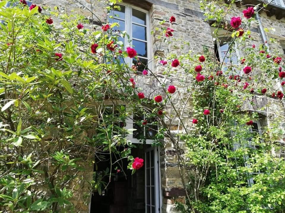 Manoir Du Tertre Au Coeur De La Foret De Broceliande Ξενοδοχείο Paimpont Εξωτερικό φωτογραφία