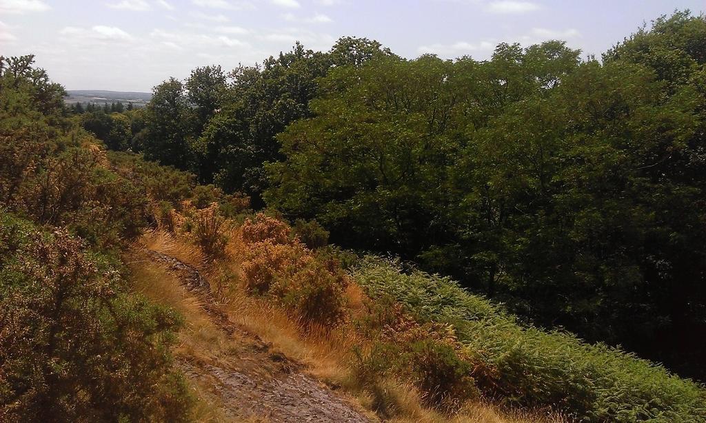 Manoir Du Tertre Au Coeur De La Foret De Broceliande Ξενοδοχείο Paimpont Εξωτερικό φωτογραφία