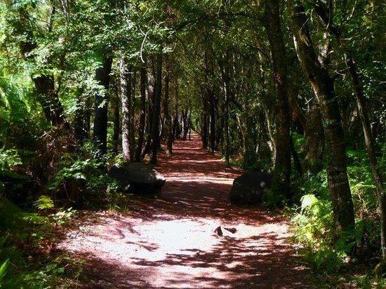 Manoir Du Tertre Au Coeur De La Foret De Broceliande Ξενοδοχείο Paimpont Εξωτερικό φωτογραφία